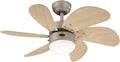 Westinghouse 76 cm Deckenventilator Turbo Swirl mit Licht und 6 Flügeln, Titan-Design